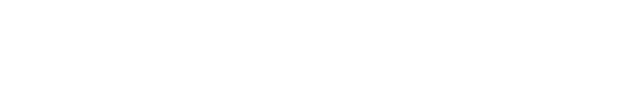 MultiWAI